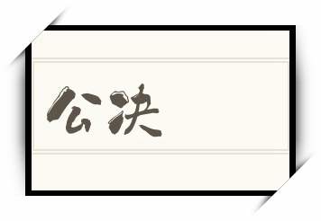 公决怎么读_公决是什么意思_公决读音/解释