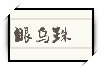 眼乌珠怎么读_眼乌珠是什么意思_眼乌珠读音/解释