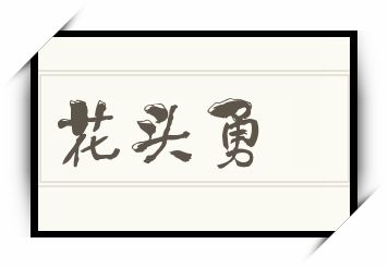 花头勇怎么读_花头勇是什么意思_花头勇读音/解释