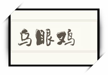 乌眼鸡怎么读_乌眼鸡是什么意思_乌眼鸡读音/解释